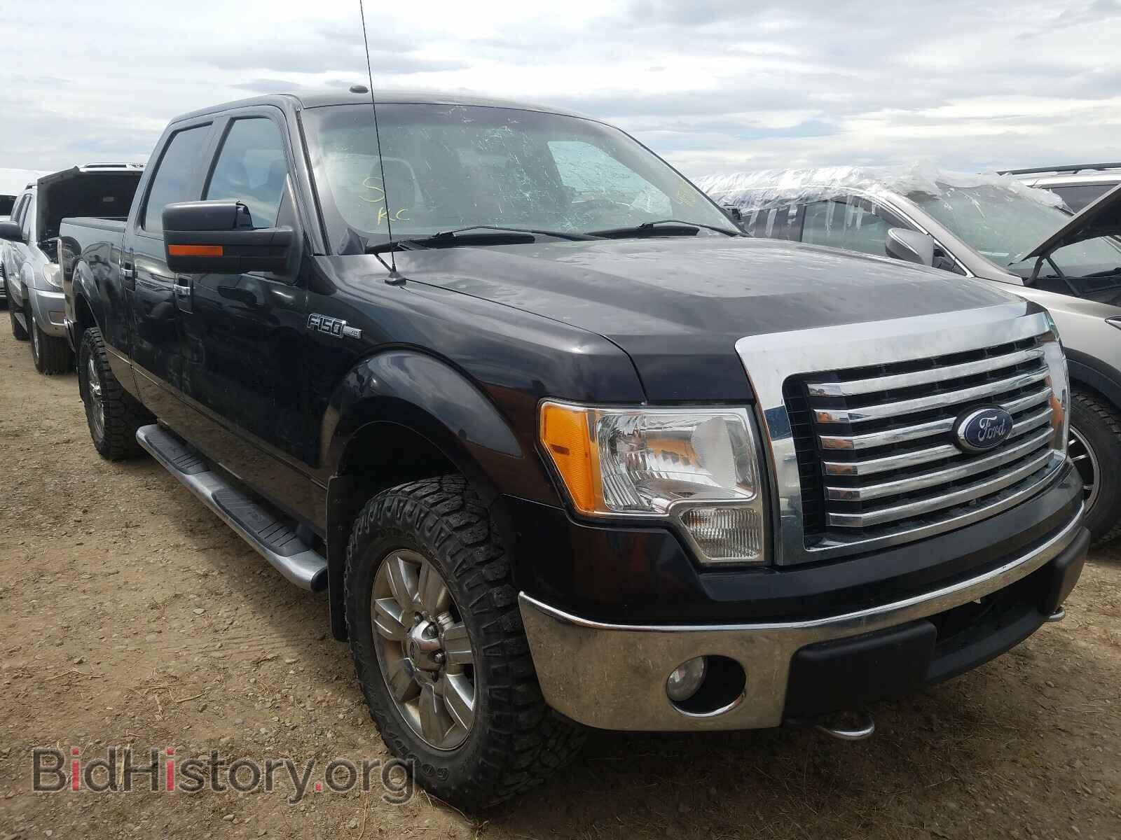 Фотография 1FTFW1EV2AFD46553 - FORD F150 2010
