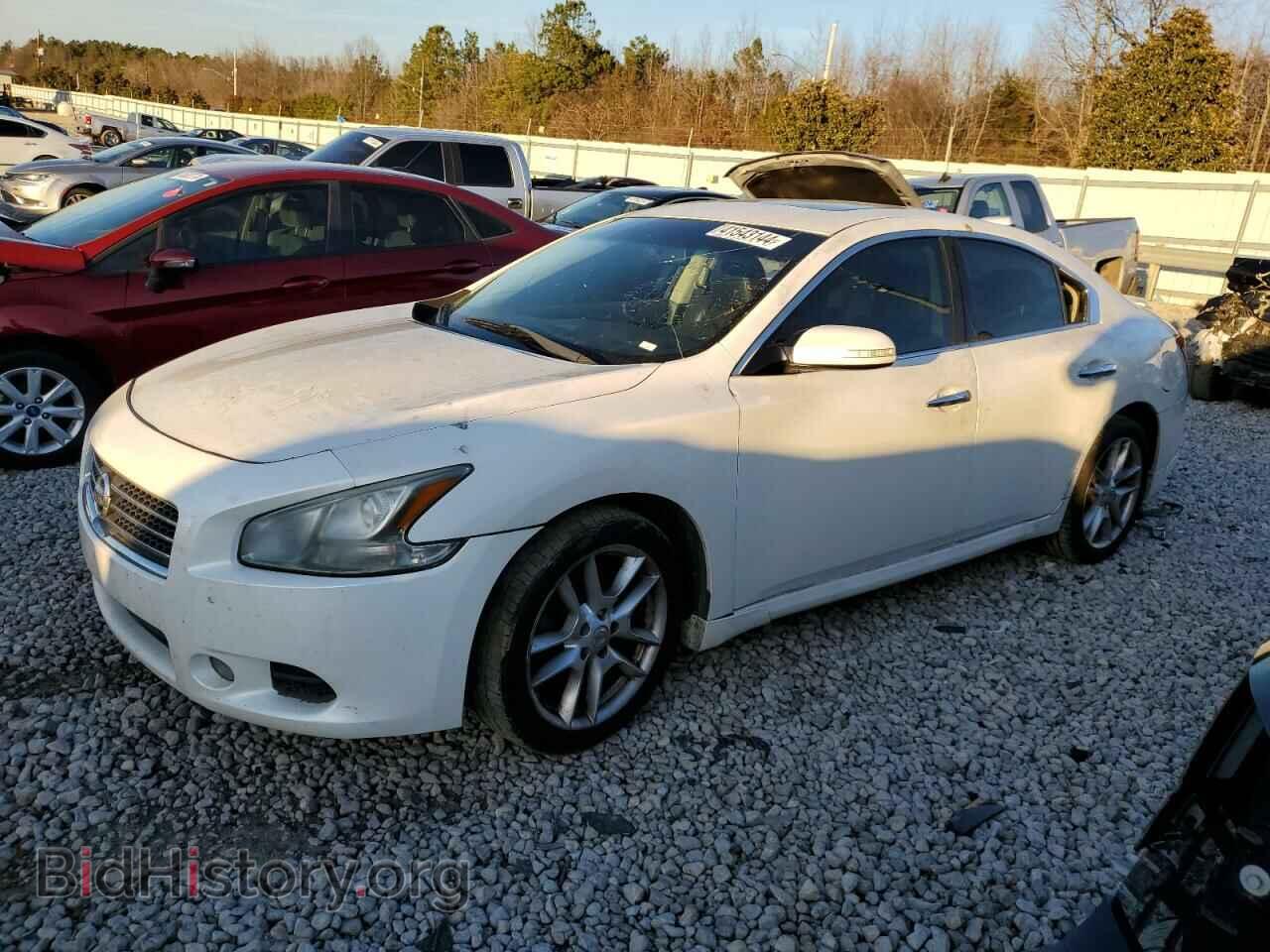 Фотография 1N4AA5AP8BC808369 - NISSAN MAXIMA 2011