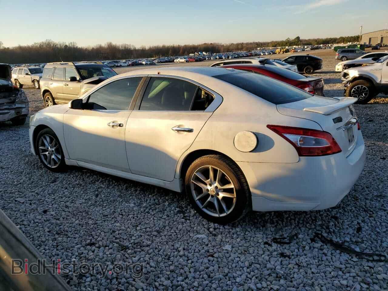 2011 NISSAN MAXIMA - VIN: 1N4AA5AP8BC808369 - Фото 2