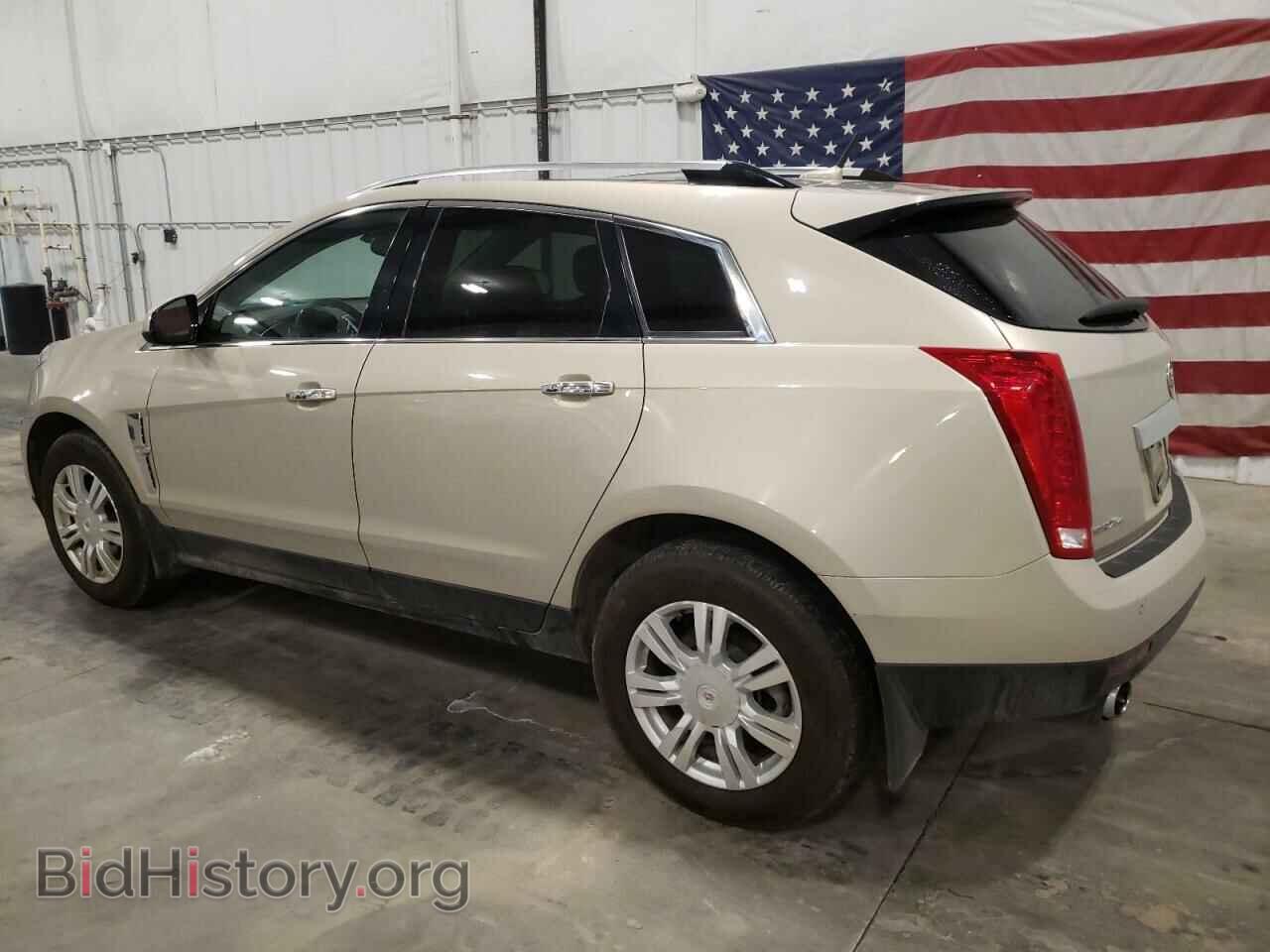 2010 CADILLAC SRX - VIN: 3GYFNDEY8AS542629 - Фото 2