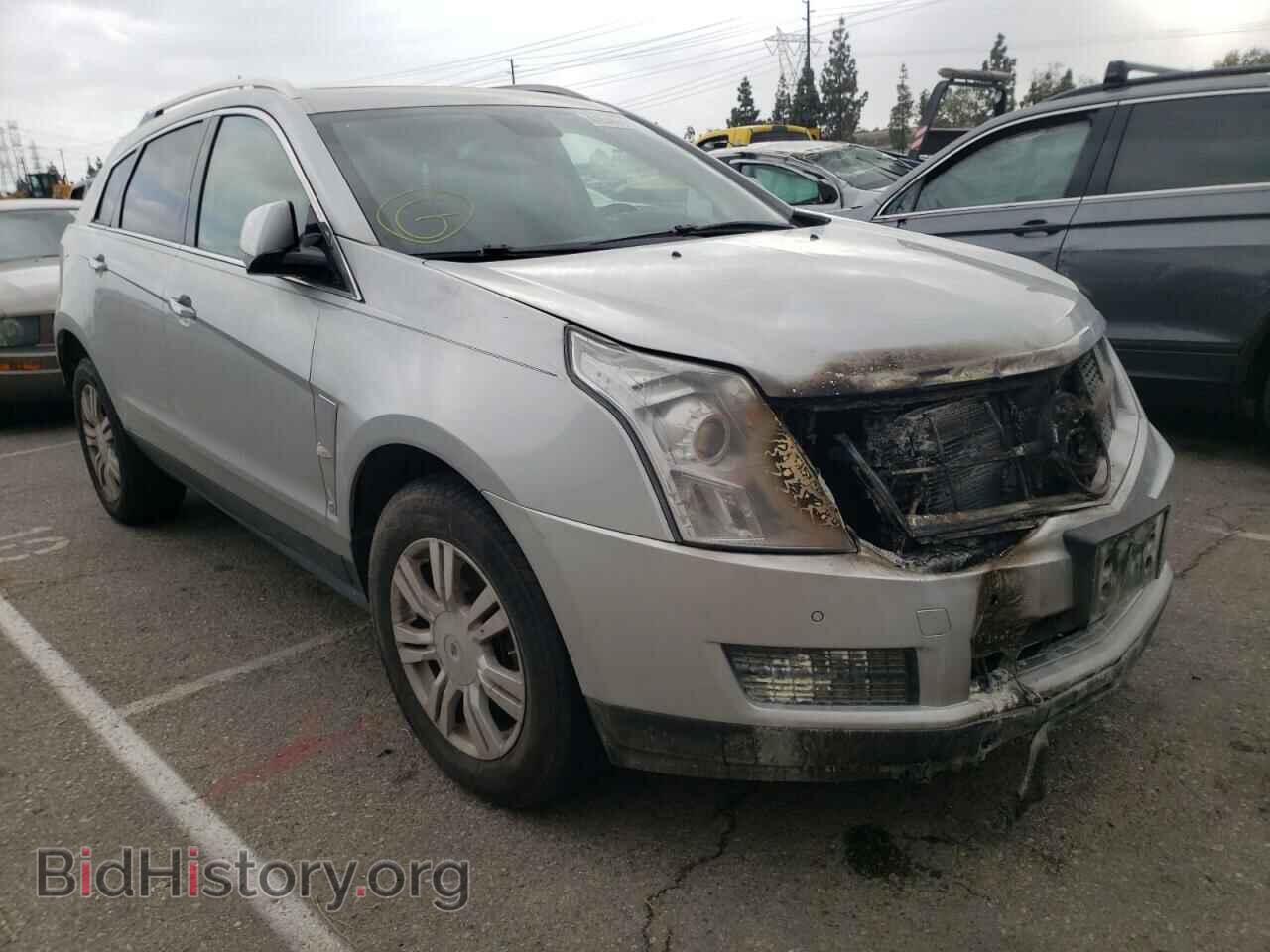 Фотография 3GYFNAEY9AS511176 - CADILLAC SRX 2010