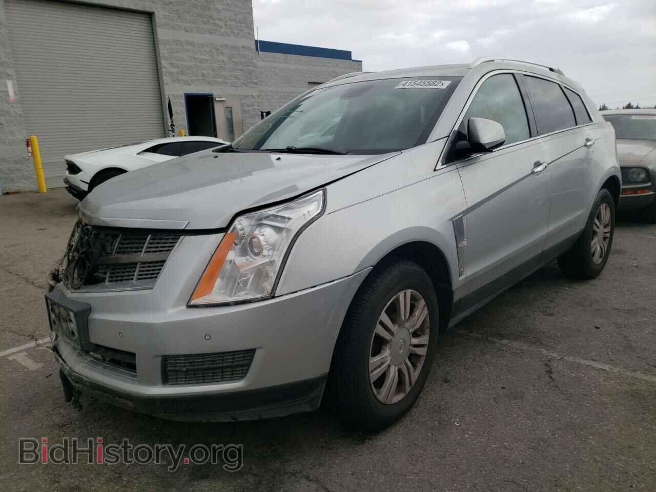 2010 CADILLAC SRX - VIN: 3GYFNAEY9AS511176 - Фото 2
