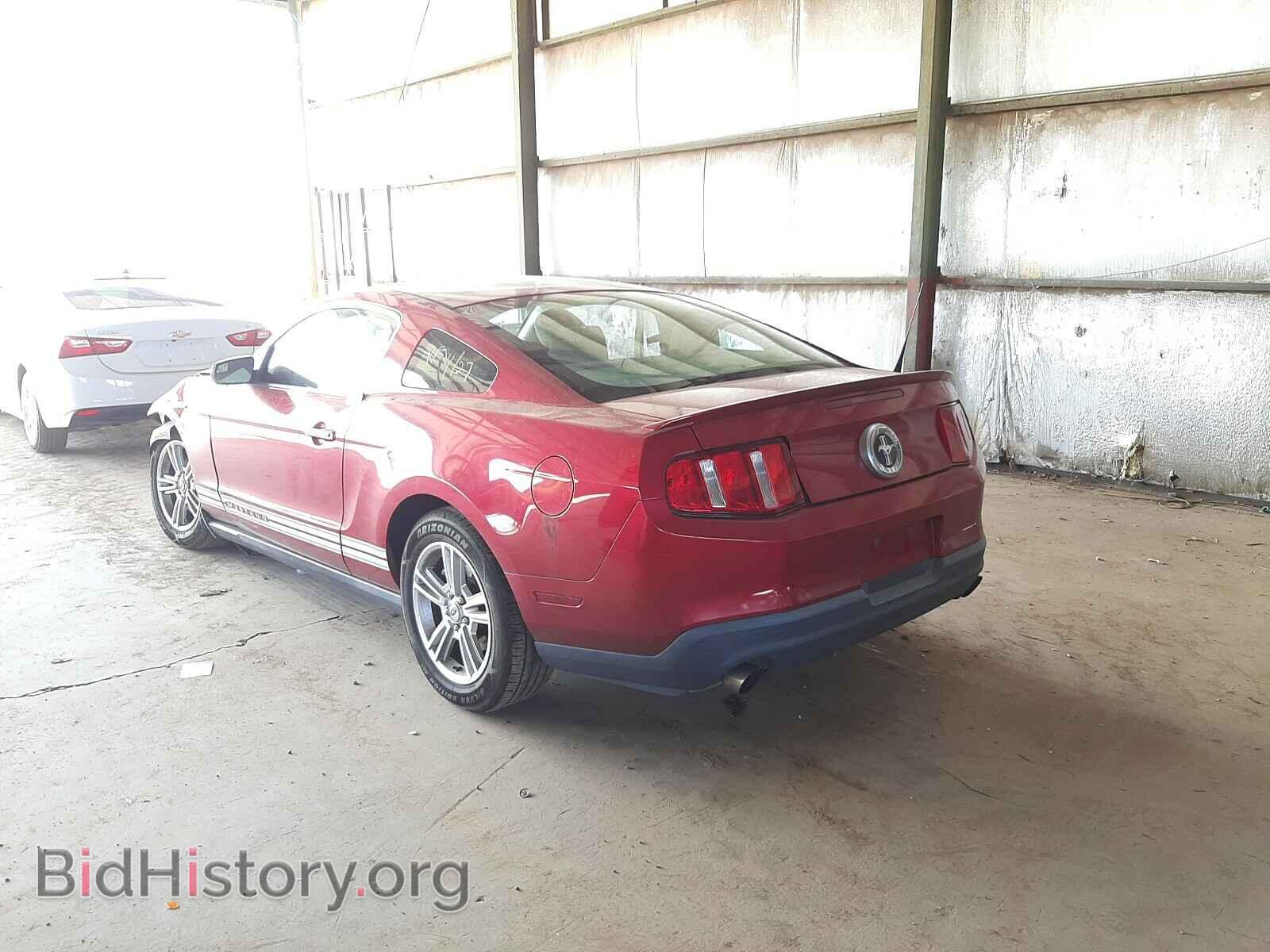 2011 FORD MUSTANG - VIN: 1ZVBP8AM8B5140708 - Фото 3