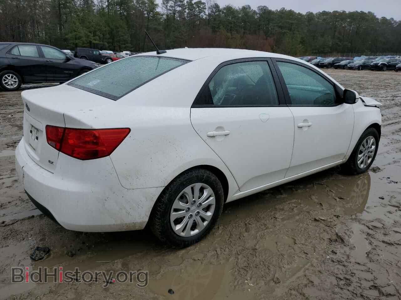 2013 KIA FORTE - VIN: KNAFU4A21D5691390 - Фото 3