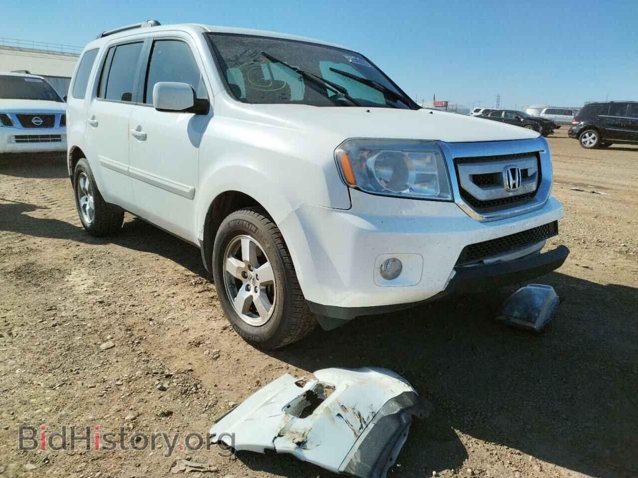 Фотография 5FNYF3H47BB043894 - HONDA PILOT 2011