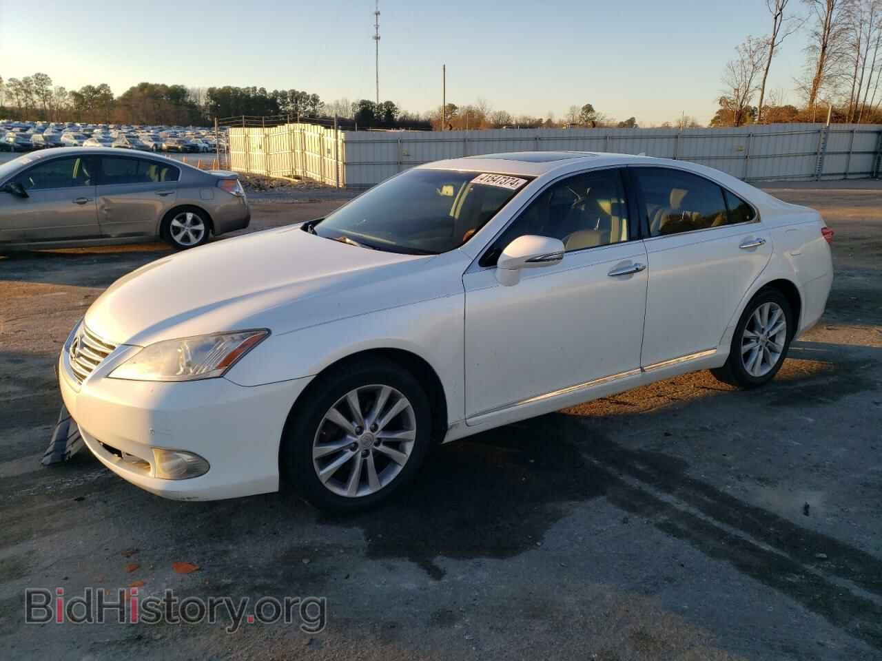 Фотография JTHBK1EG1A2381229 - LEXUS ES350 2010