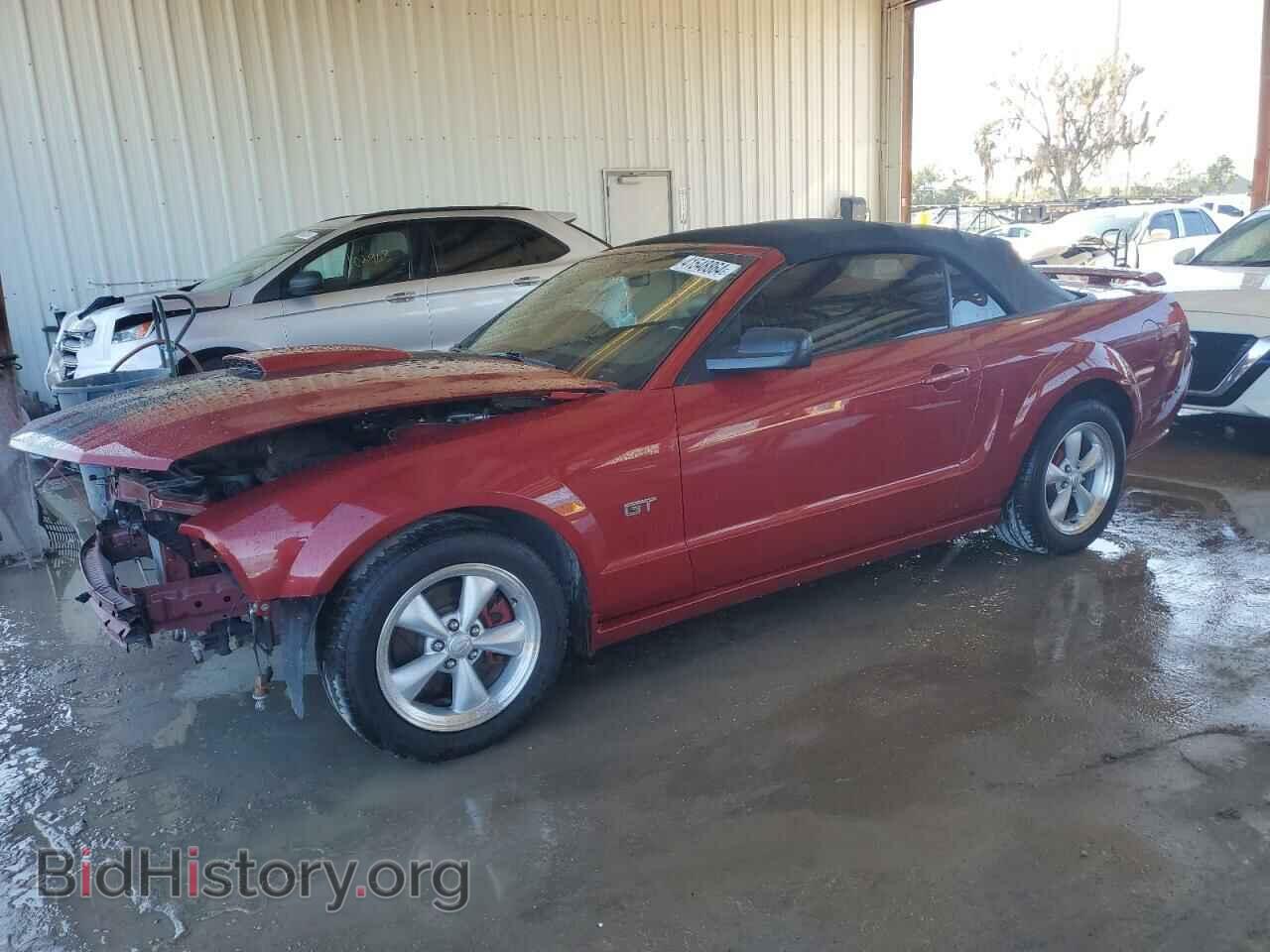 Фотография 1ZVHT85H985136503 - FORD MUSTANG 2008