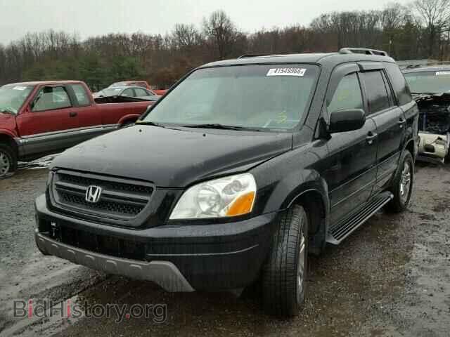 2005 HONDA PILOT - VIN: 2HKYF18795H510592 - Фото 2
