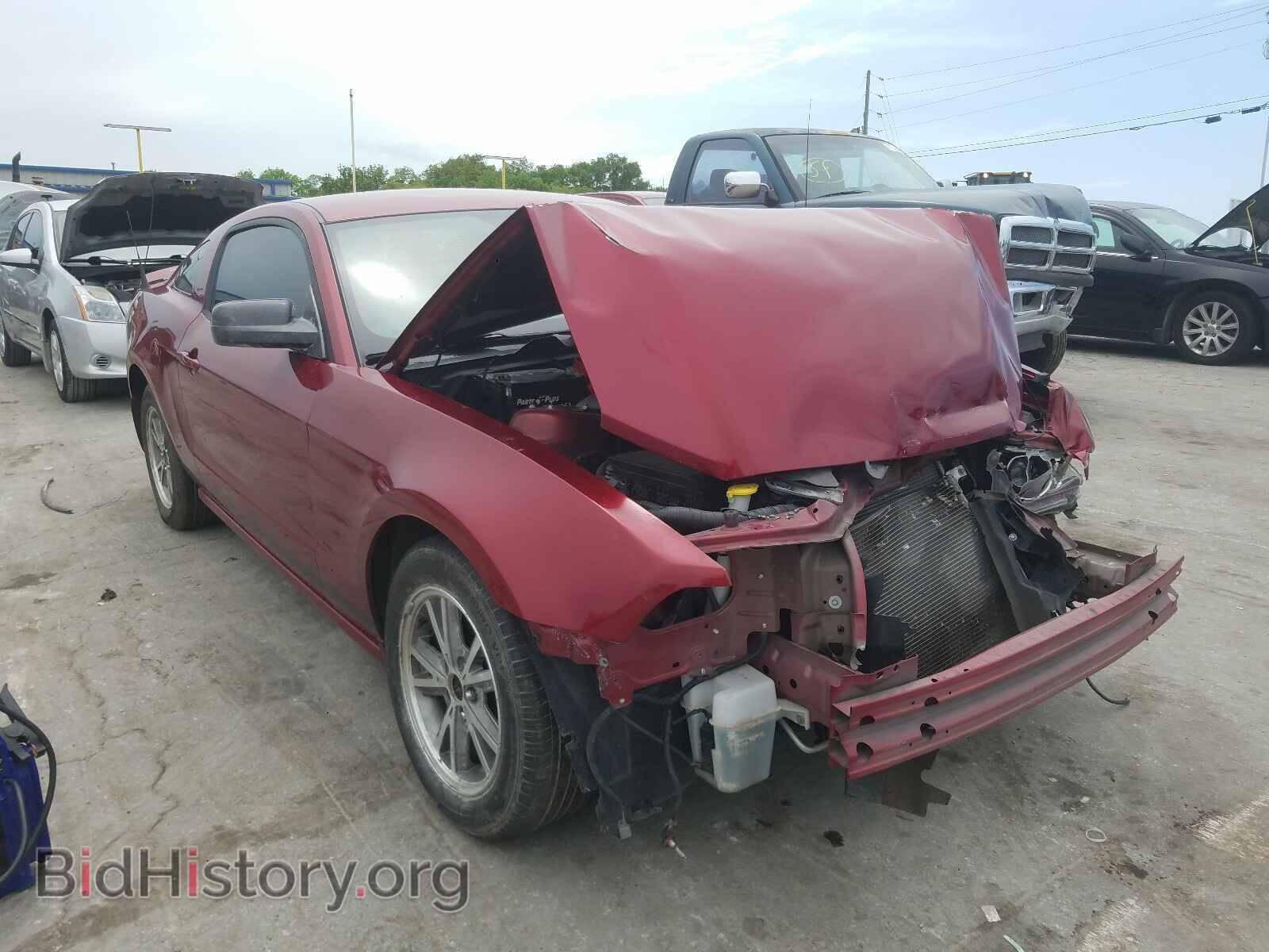 Фотография 1ZVBP8AM5E5253424 - FORD MUSTANG 2014