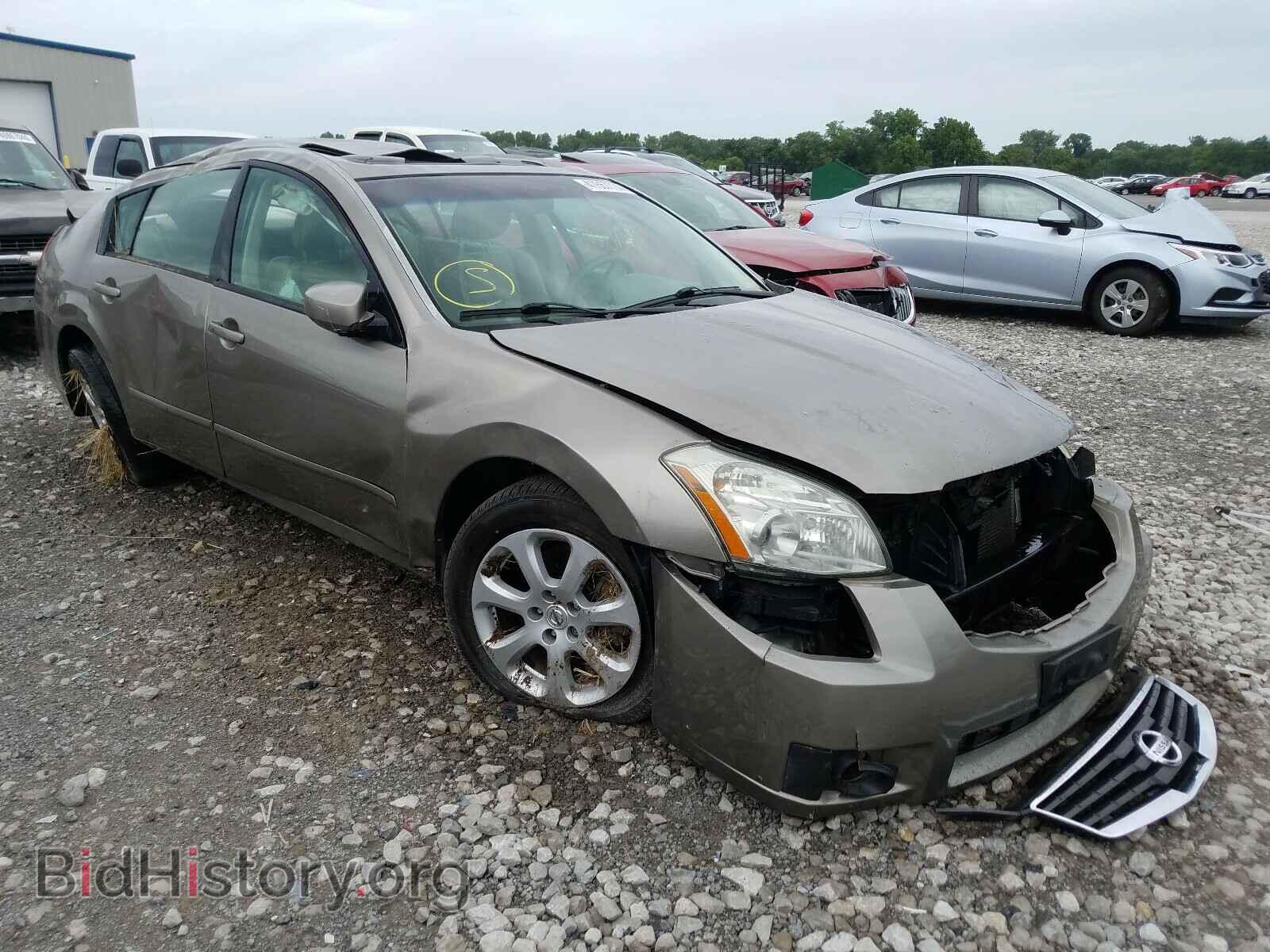 Photo 1N4BA41E28C812715 - NISSAN MAXIMA 2008