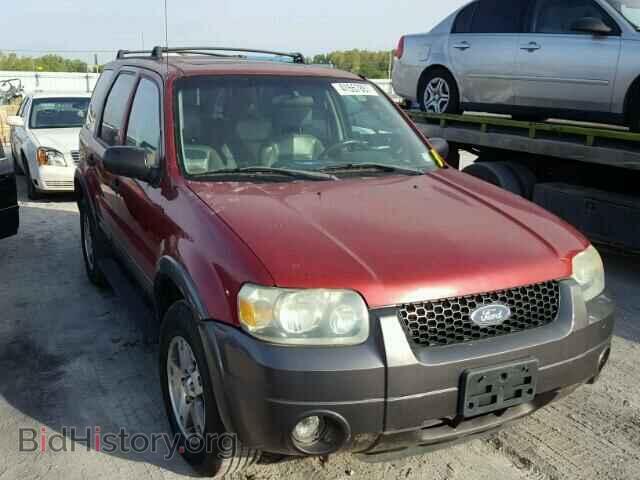 Photo 1FMYU93115KB05802 - FORD ESCAPE 2005