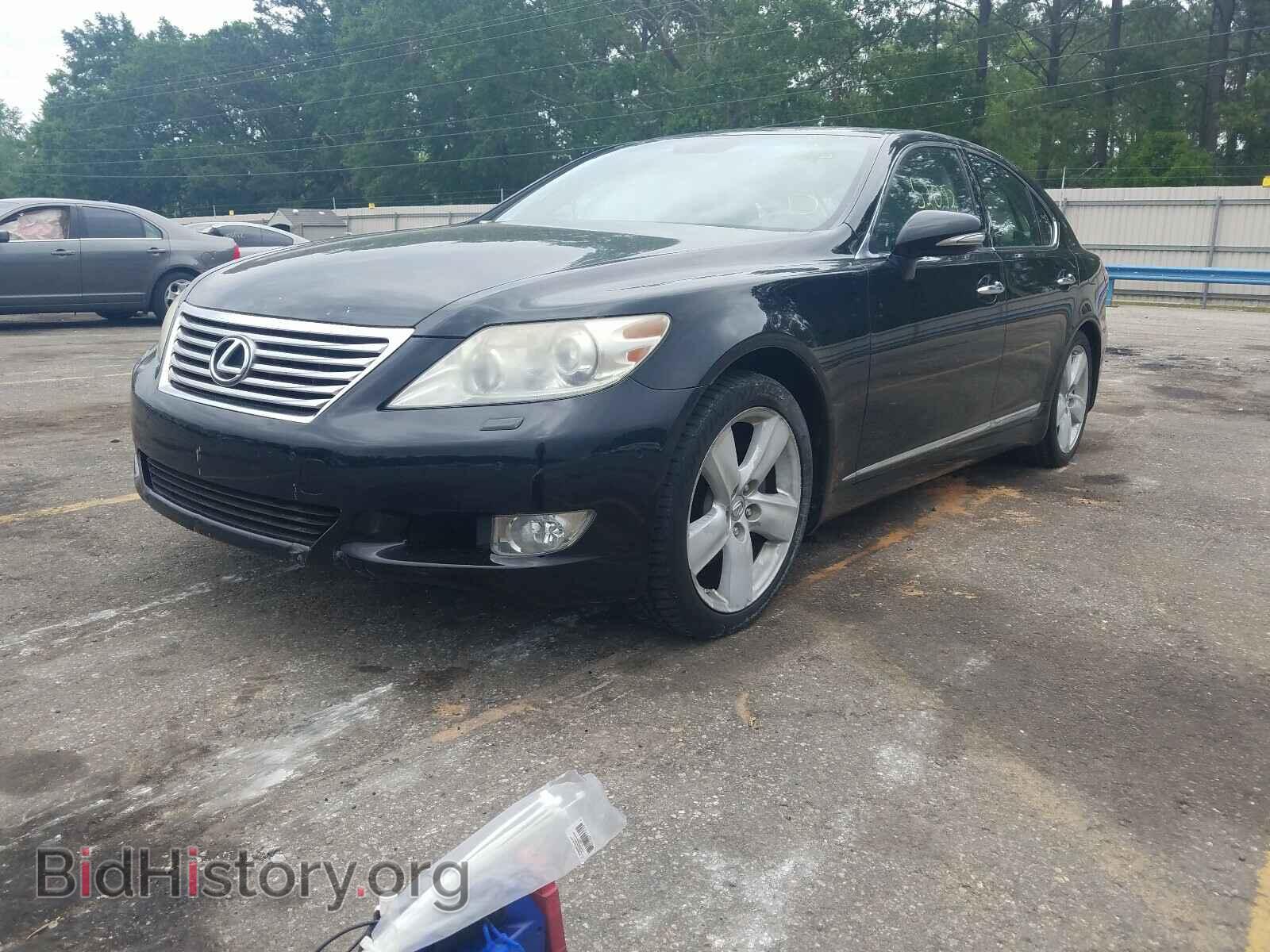 2011 LEXUS LS460 - VIN: JTHBL5EFXB5104297 - Фото 2