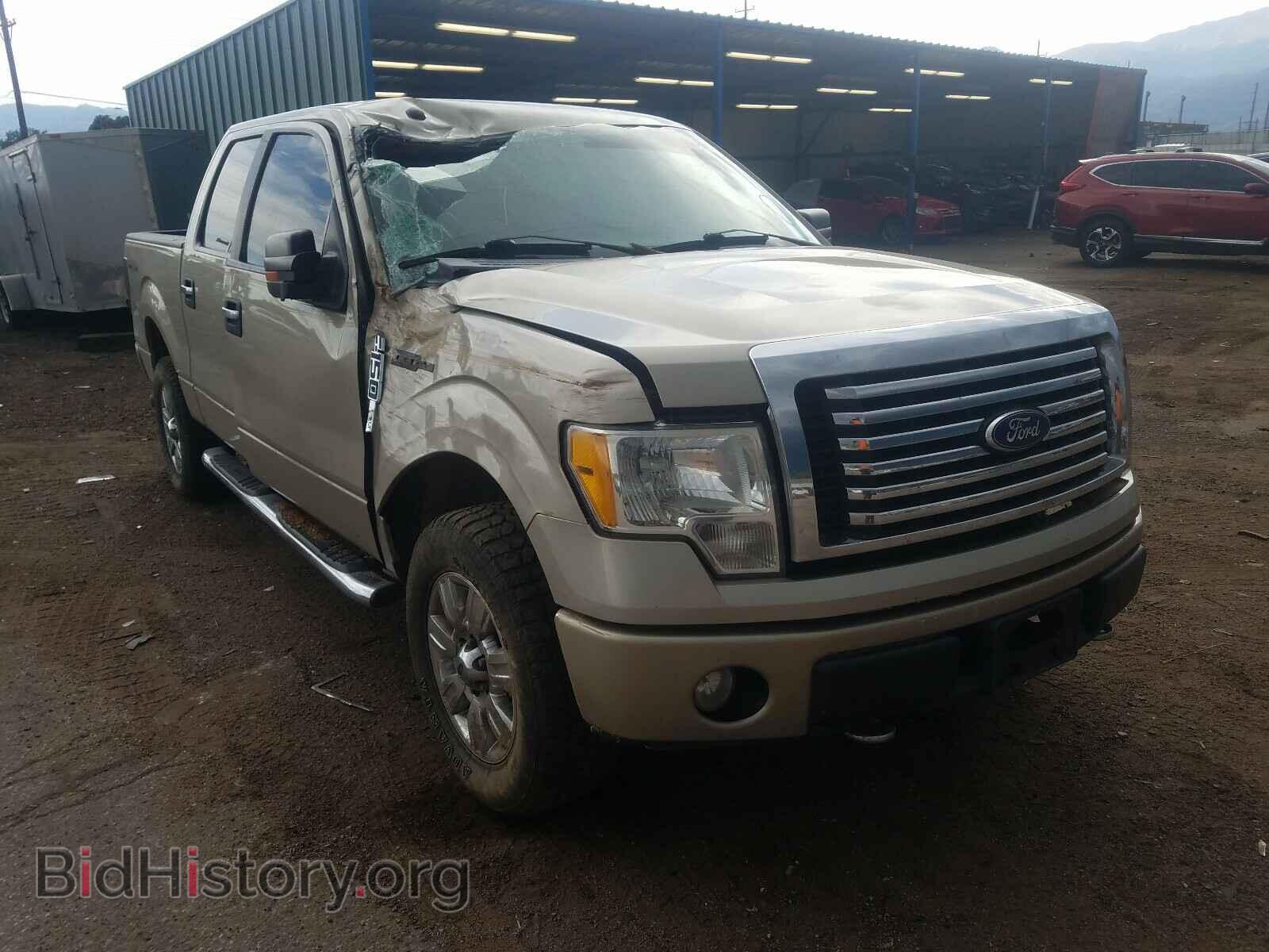 Фотография 1FTFW1EV4AFD49874 - FORD F150 2010