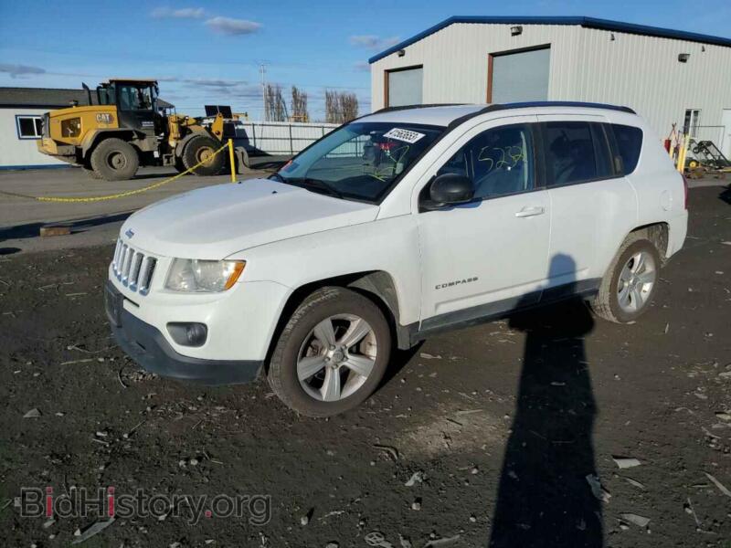 2011 Jeep COMPASS Compass SP (VIN 1J4NF1FB9BD174657) — фото 1 из 13, Copart, повреждение: бок
