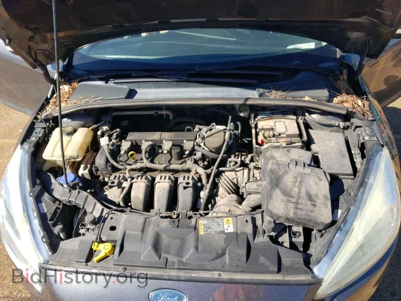 2016 FORD FOCUS - VIN: 1FADP3N29GL258024 - Фото 11