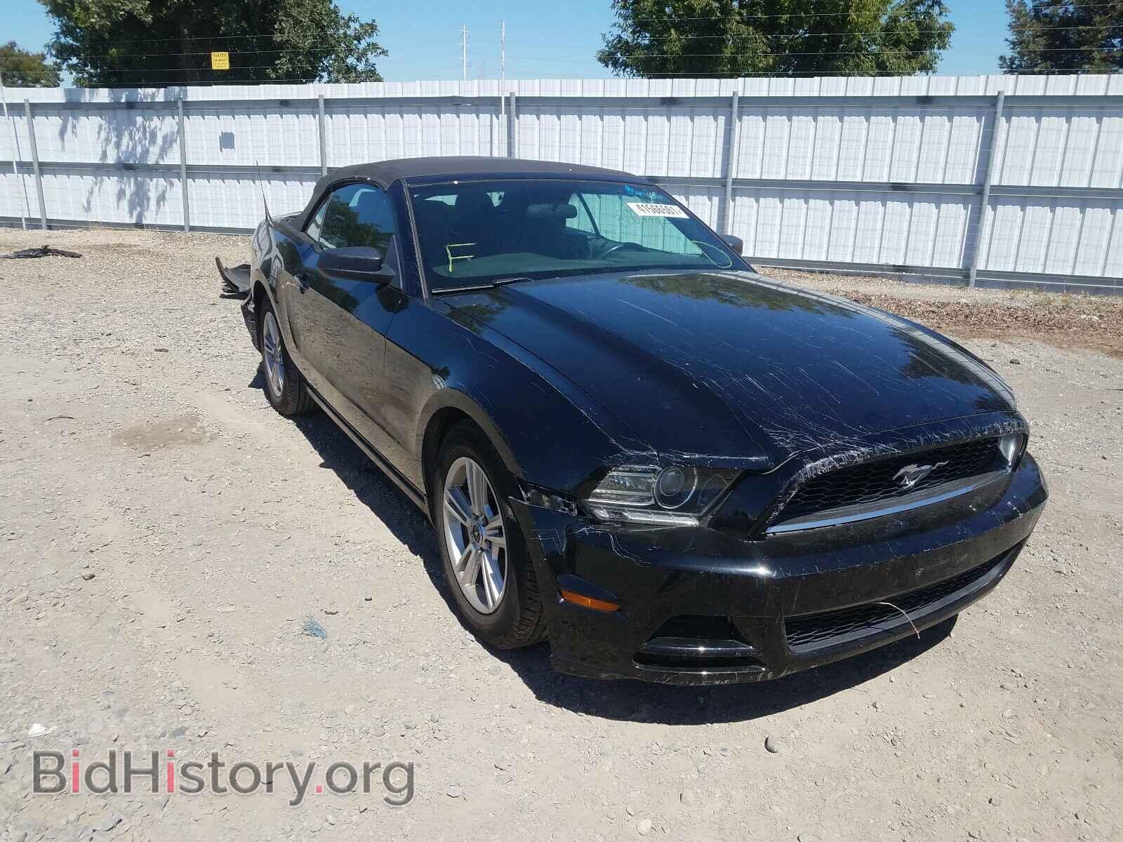 Photo 1ZVBP8EM8D5260182 - FORD MUSTANG 2013