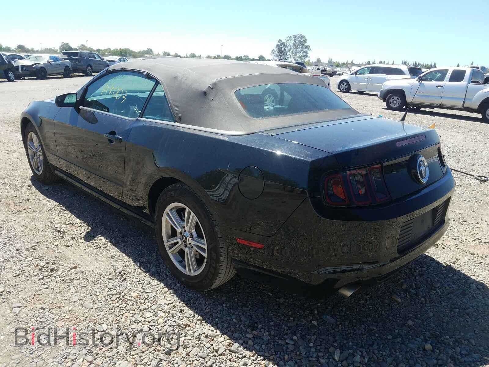2013 FORD MUSTANG - VIN: 1ZVBP8EM8D5260182 - Photo 3
