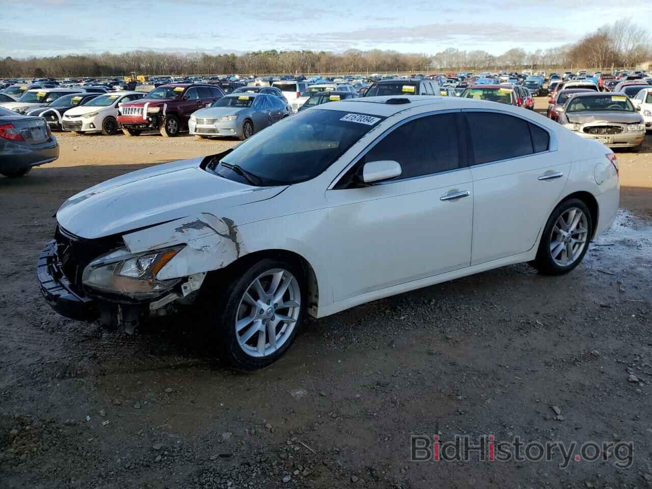 Photo 1N4AA51E59C842164 - NISSAN MAXIMA 2009