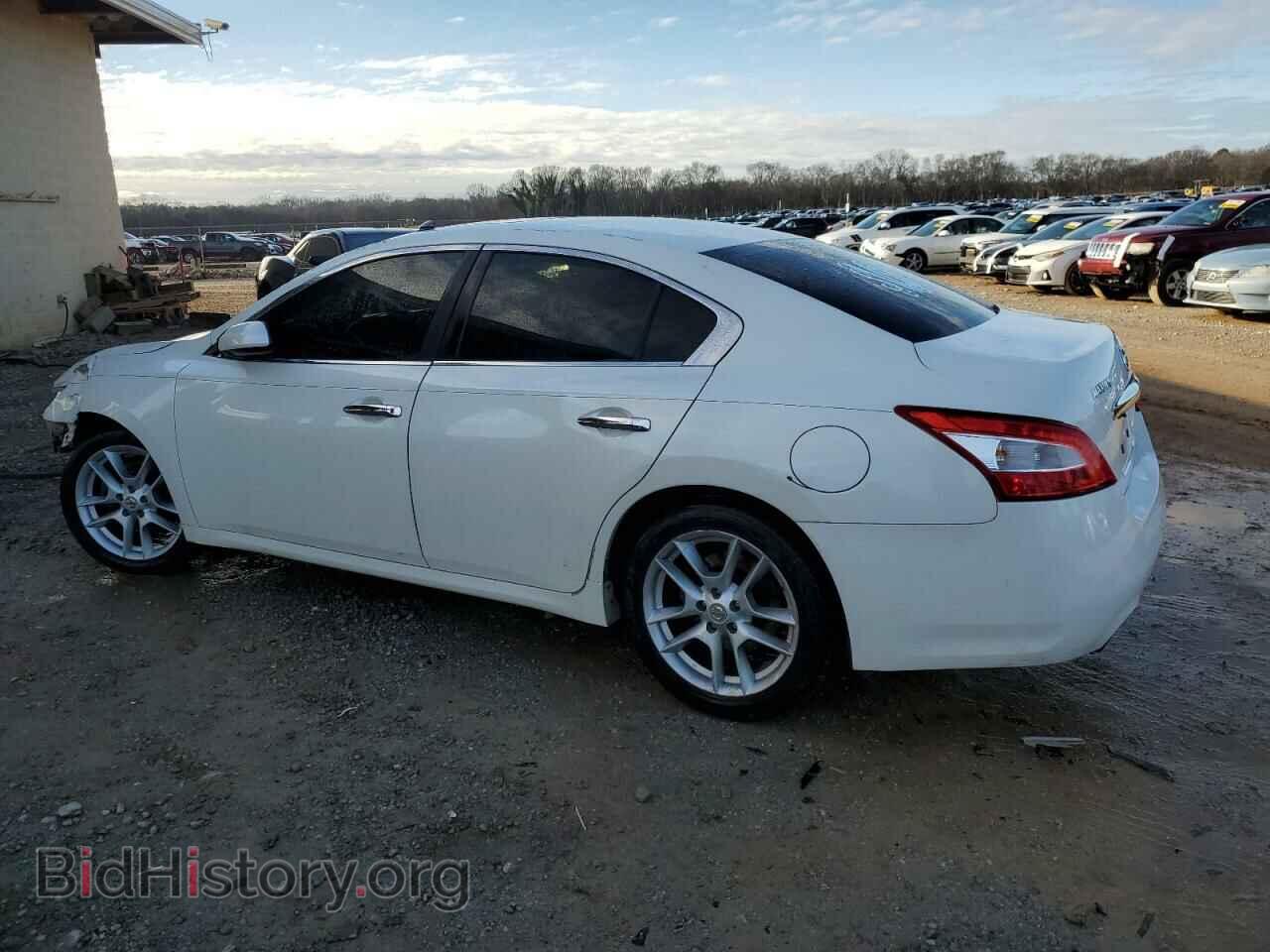 2009 NISSAN MAXIMA - VIN: 1N4AA51E59C842164 - Фото 2