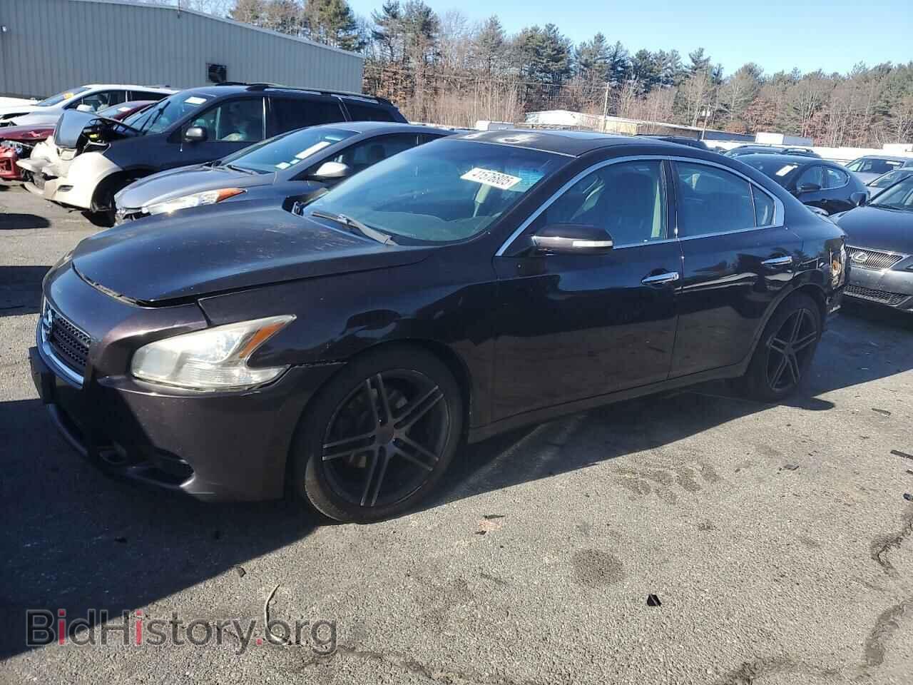 Photo 1N4AA5AP1BC800940 - NISSAN MAXIMA 2011