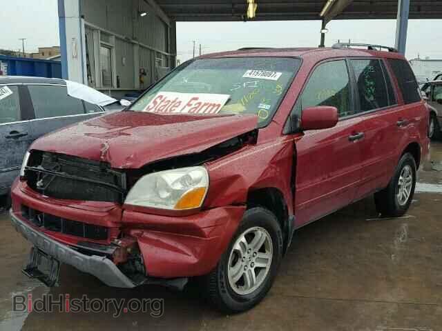 2005 HONDA PILOT - VIN: 5FNYF18575B007544 - Фото 2