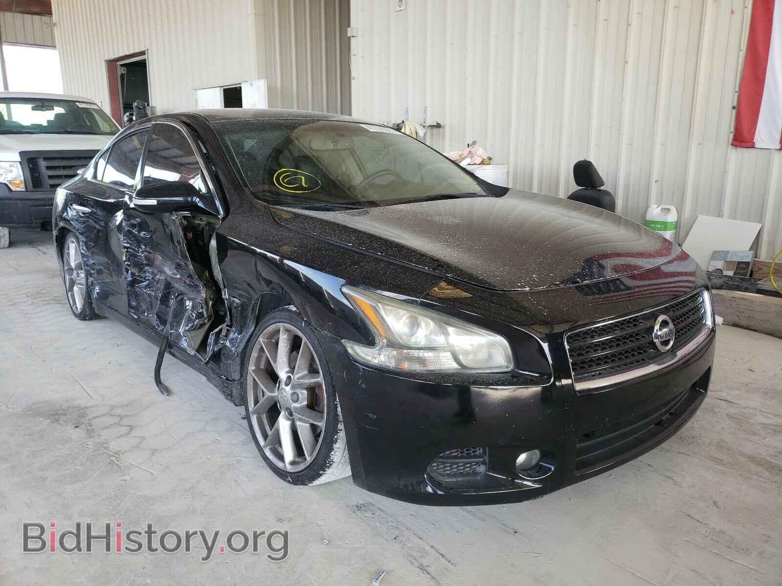 Фотография 1N4AA5AP7BC843775 - NISSAN MAXIMA 2011