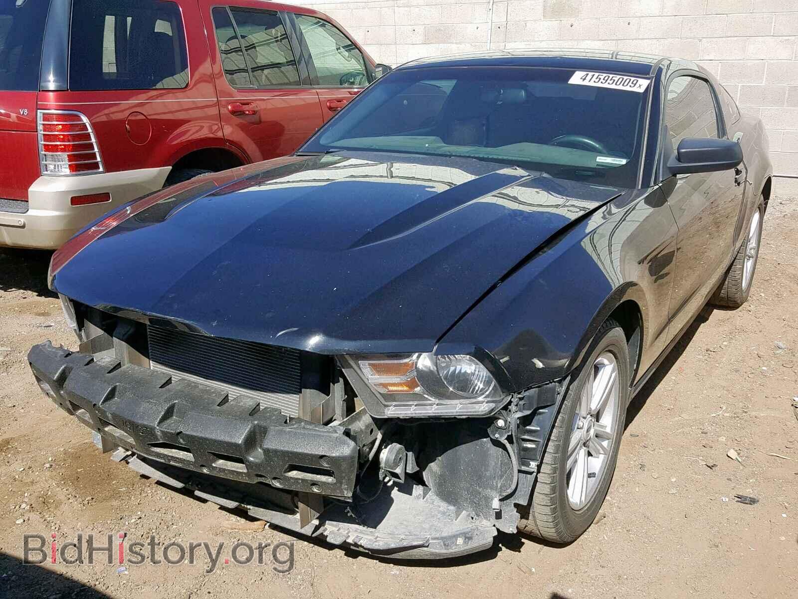 2012 FORD MUSTANG - VIN: 1ZVBP8AMXC5272869 - Фото 2