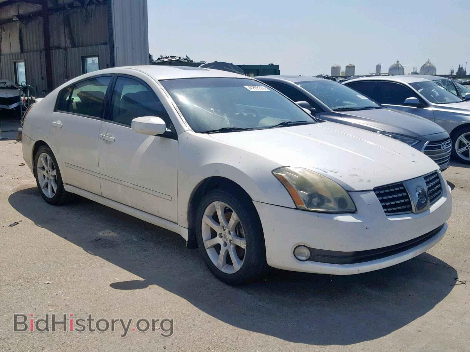 Photo 1N4BA41E38C807958 - NISSAN MAXIMA 2008
