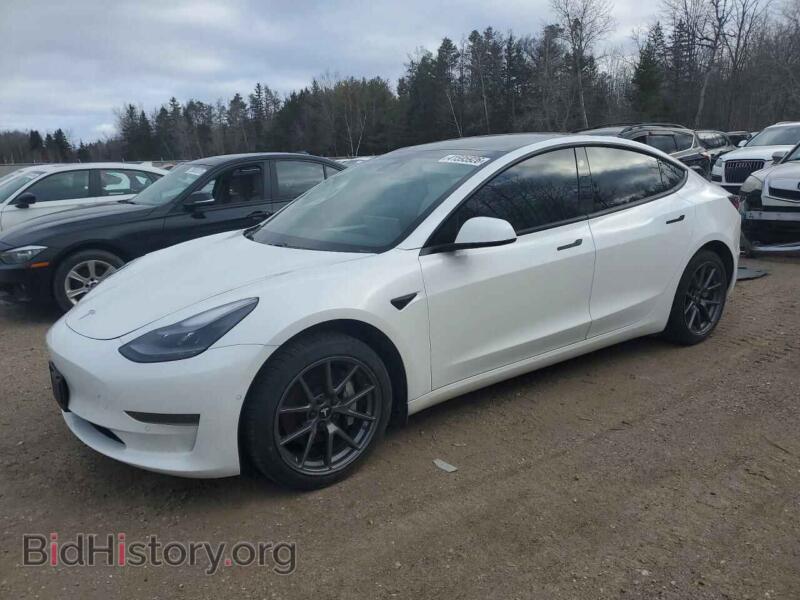 2021 Tesla MODEL 3 (VIN 5YJ3E1EA3MF031983) — photo 1 of 13, Copart, damage: front end