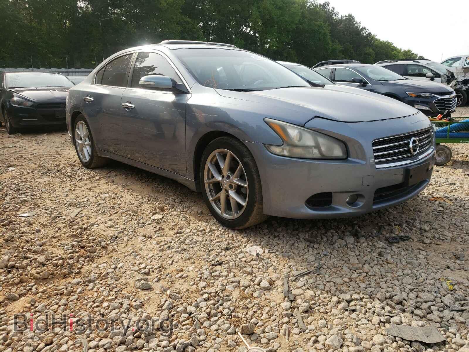 Фотография 1N4AA5AP7BC865582 - NISSAN MAXIMA 2011