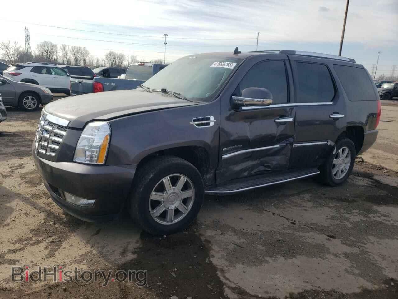 Photo 1GYUKAEF5AR182333 - CADILLAC ESCALADE 2010