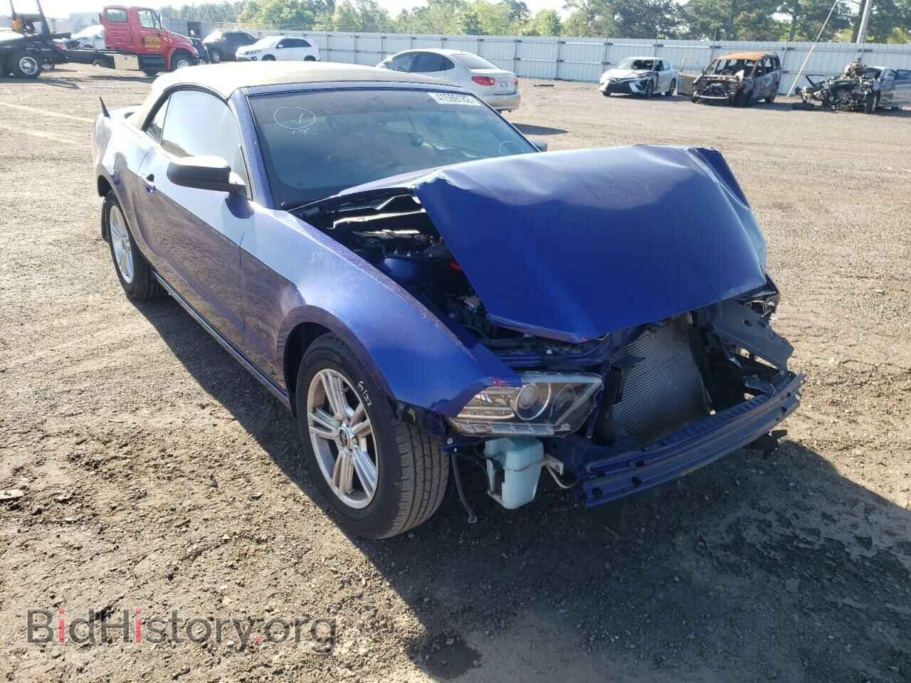 Фотография 1ZVBP8EM8D5232821 - FORD MUSTANG 2013