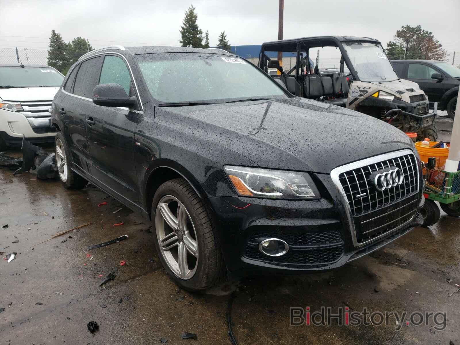 Фотография WA1MKAFP7AA112435 - AUDI Q5 2010