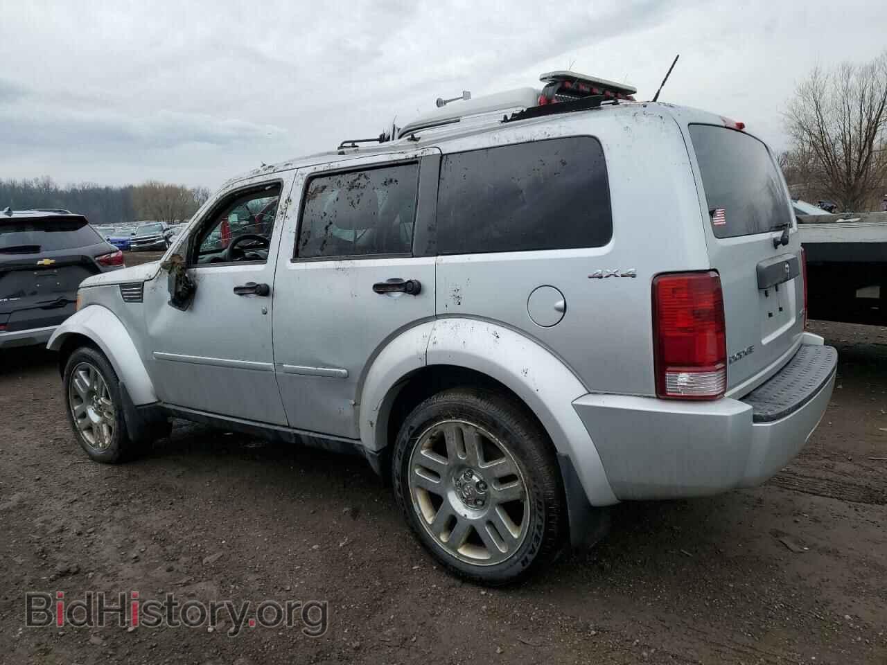 2011 DODGE NITRO - VIN: 1D4PU4GK8BW604593 - Фото 2