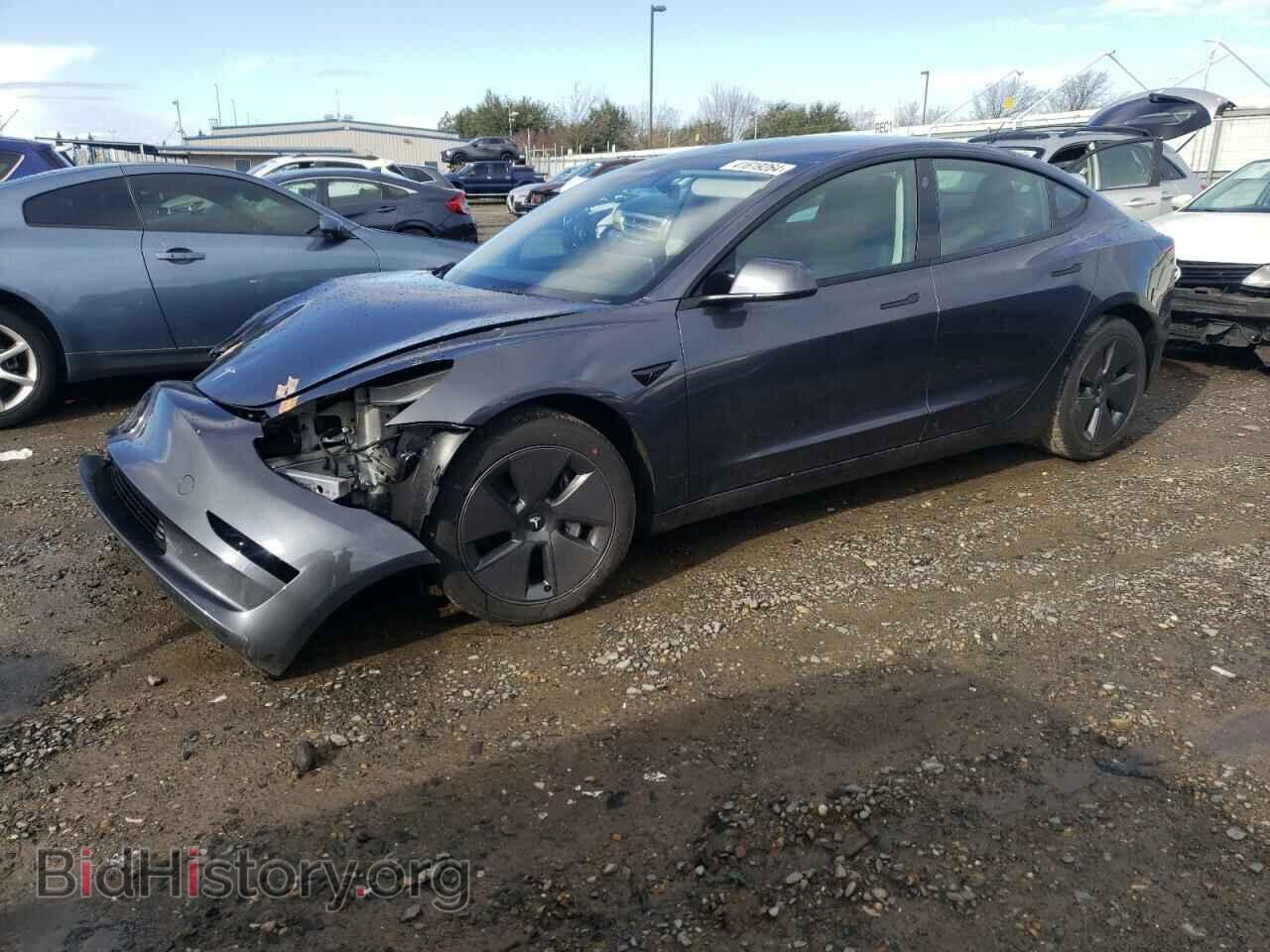 Photo 5YJ3E1EA1PF697423 - TESLA MODEL 3 2023
