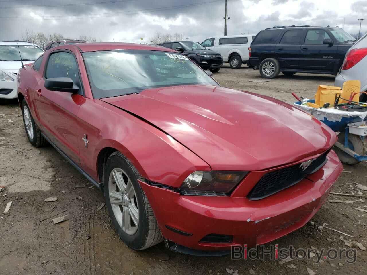 Фотография 1ZVBP8AM2C5281064 - FORD MUSTANG 2012