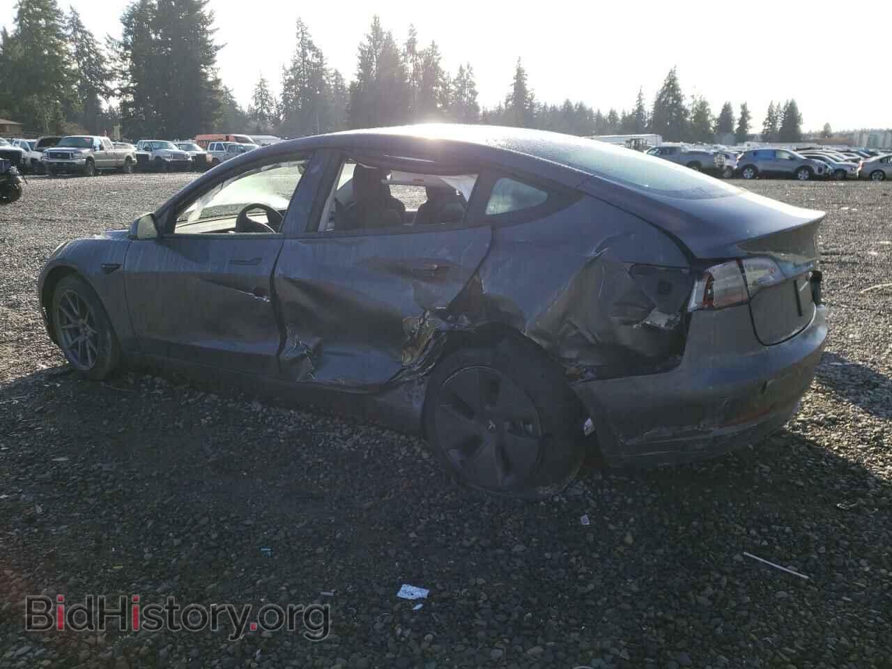 2023 TESLA MODEL 3 - VIN: 5YJ3E1EA5PF684058 - Photo 2
