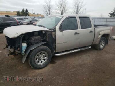2009 Chevrolet SILVERADO, бежевый — VIN 2GCEK13C691123783, Copart