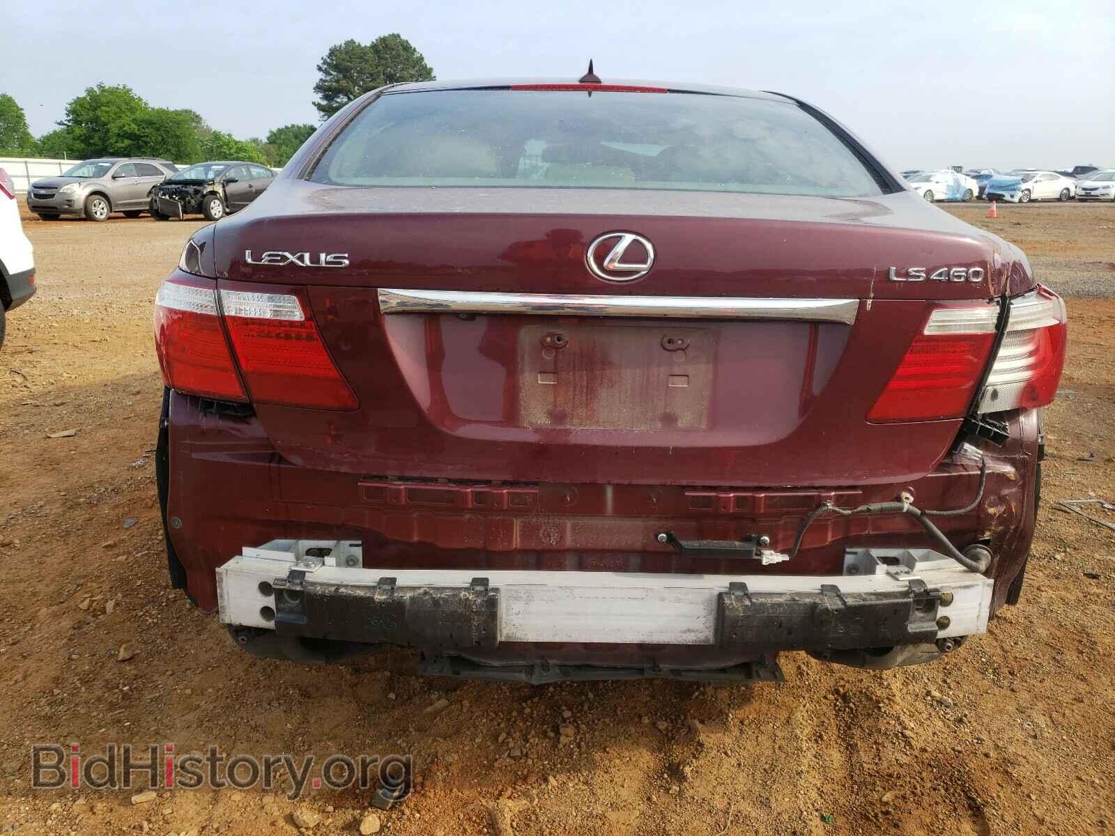 2009 LEXUS LS460 - VIN: JTHBL46F695088280 - Фото 9