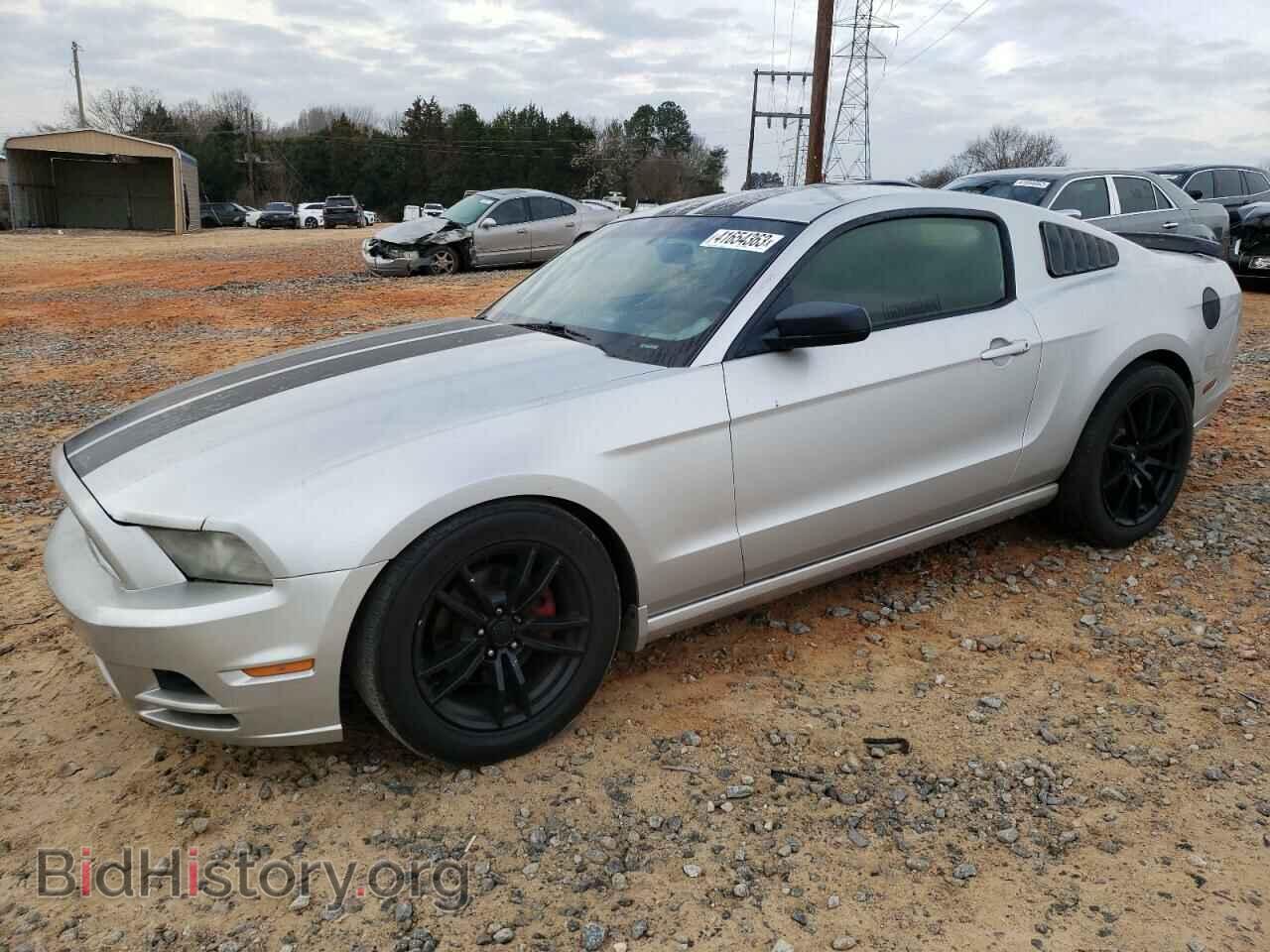 Фотография 1ZVBP8AM3D5213440 - FORD MUSTANG 2013