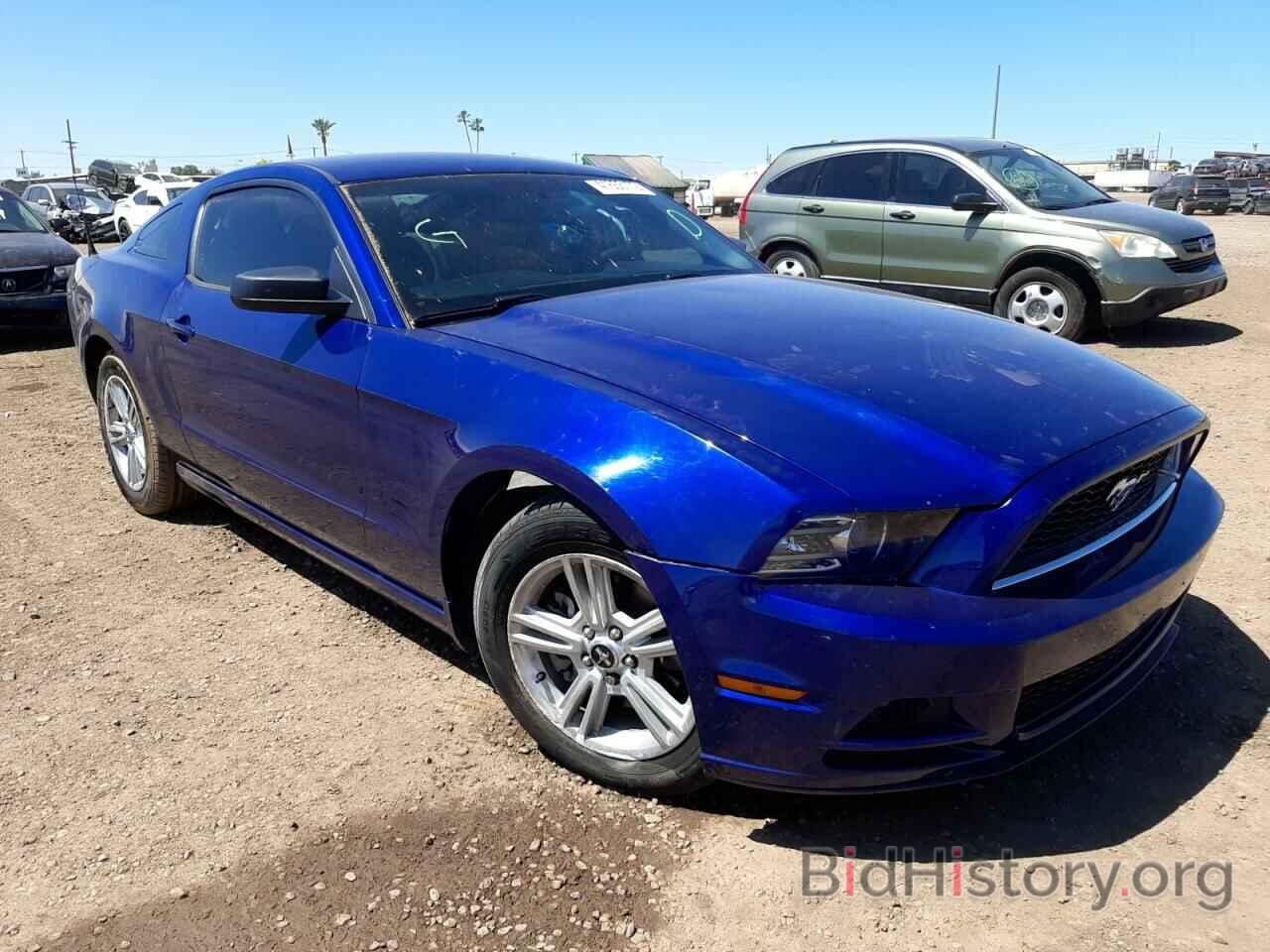Photo 1ZVBP8AM8E5250386 - FORD MUSTANG 2014
