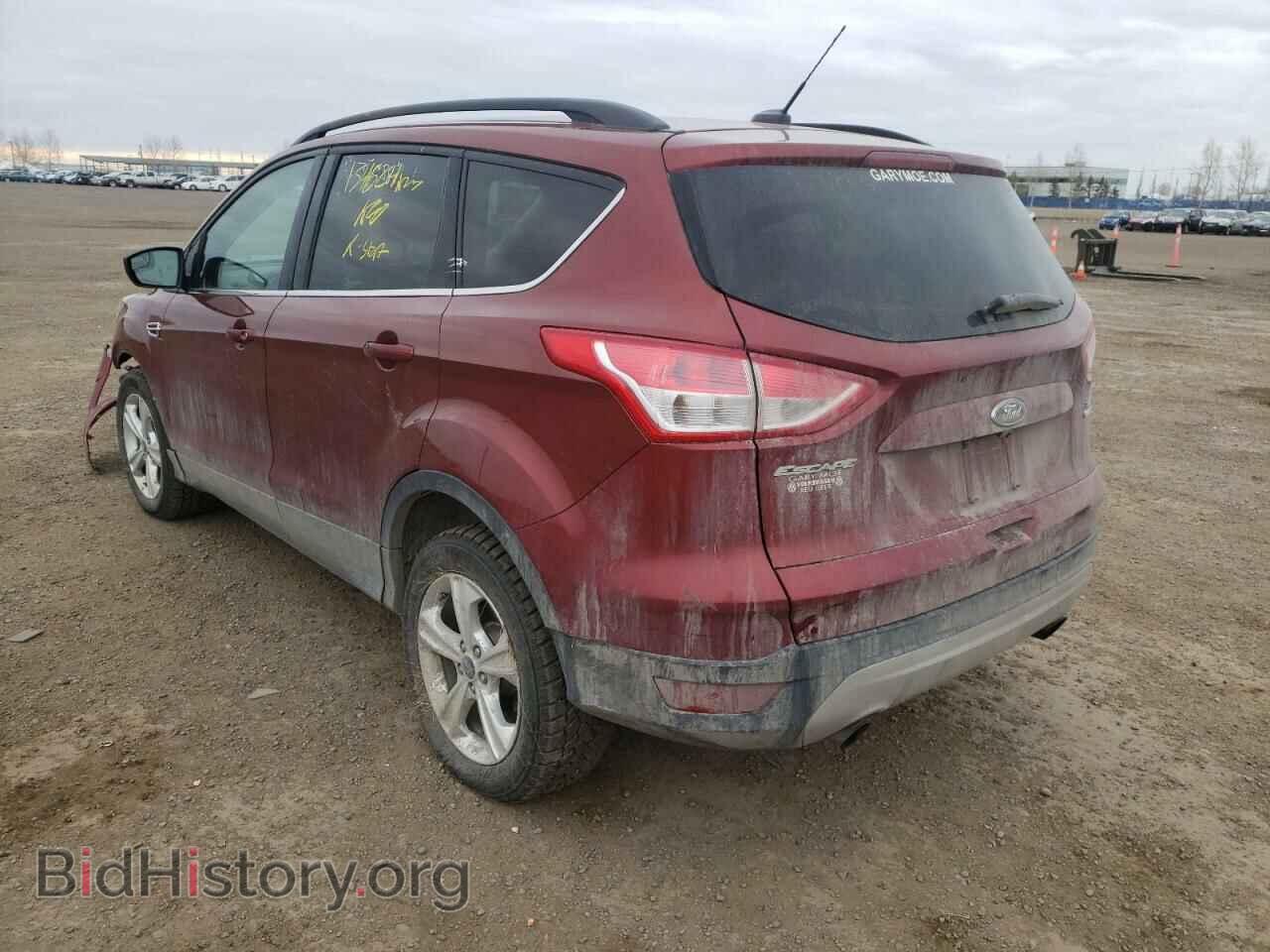 2014 FORD ESCAPE - VIN: 1FMCU9G92EUE29145 - Фото 3