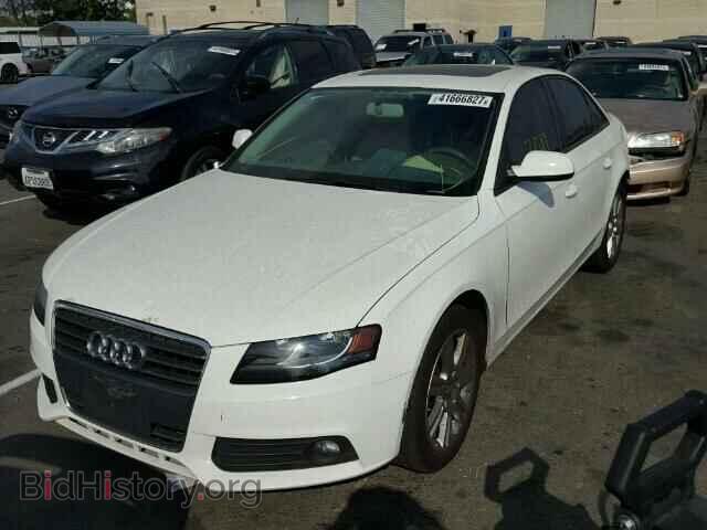 2010 AUDI A4 - VIN: WAUAFAFL2AN051415 - Фото 2