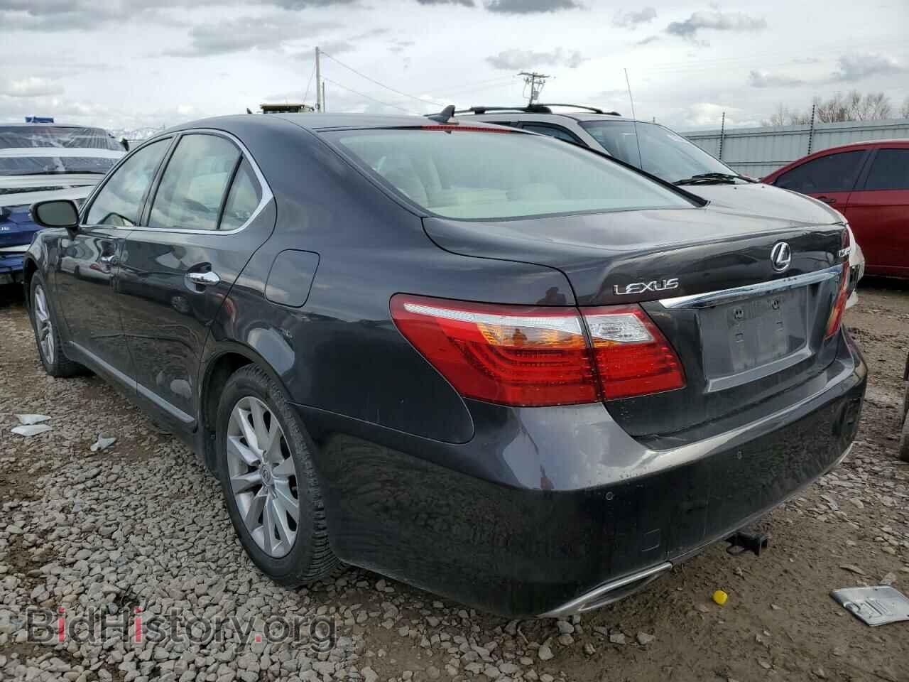 2010 LEXUS LS460 - VIN: JTHCL5EF6A5005043 - Фото 2