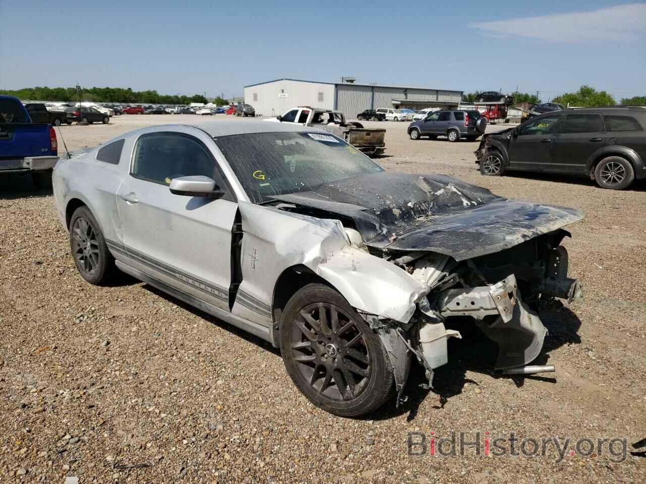 Photo 1ZVBP8AN1A5138547 - FORD MUSTANG 2010