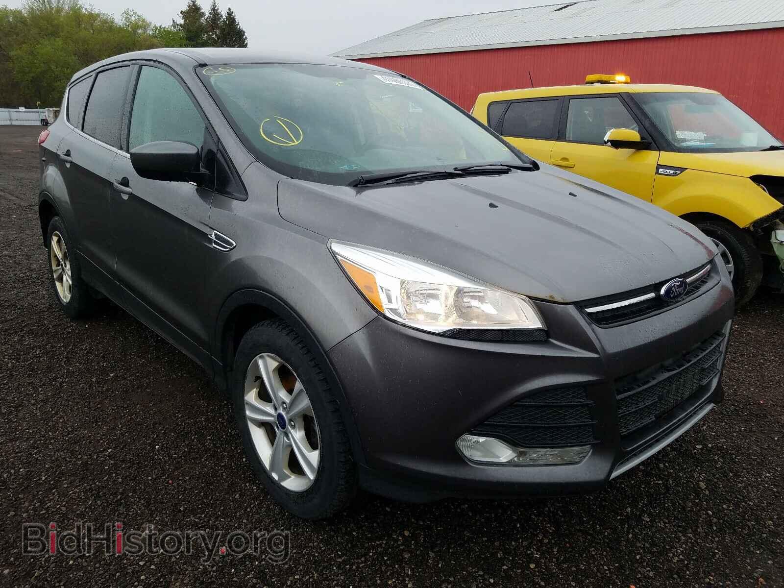 Фотография 1FMCU0GX2EUB88889 - FORD ESCAPE 2014