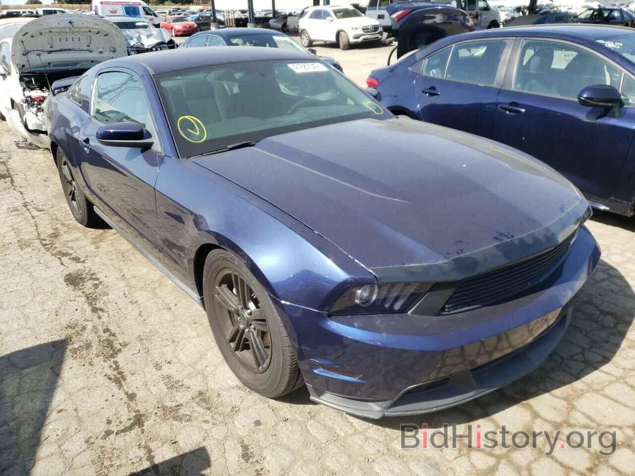 Photo 1ZVBP8AN5A5181062 - FORD MUSTANG 2010