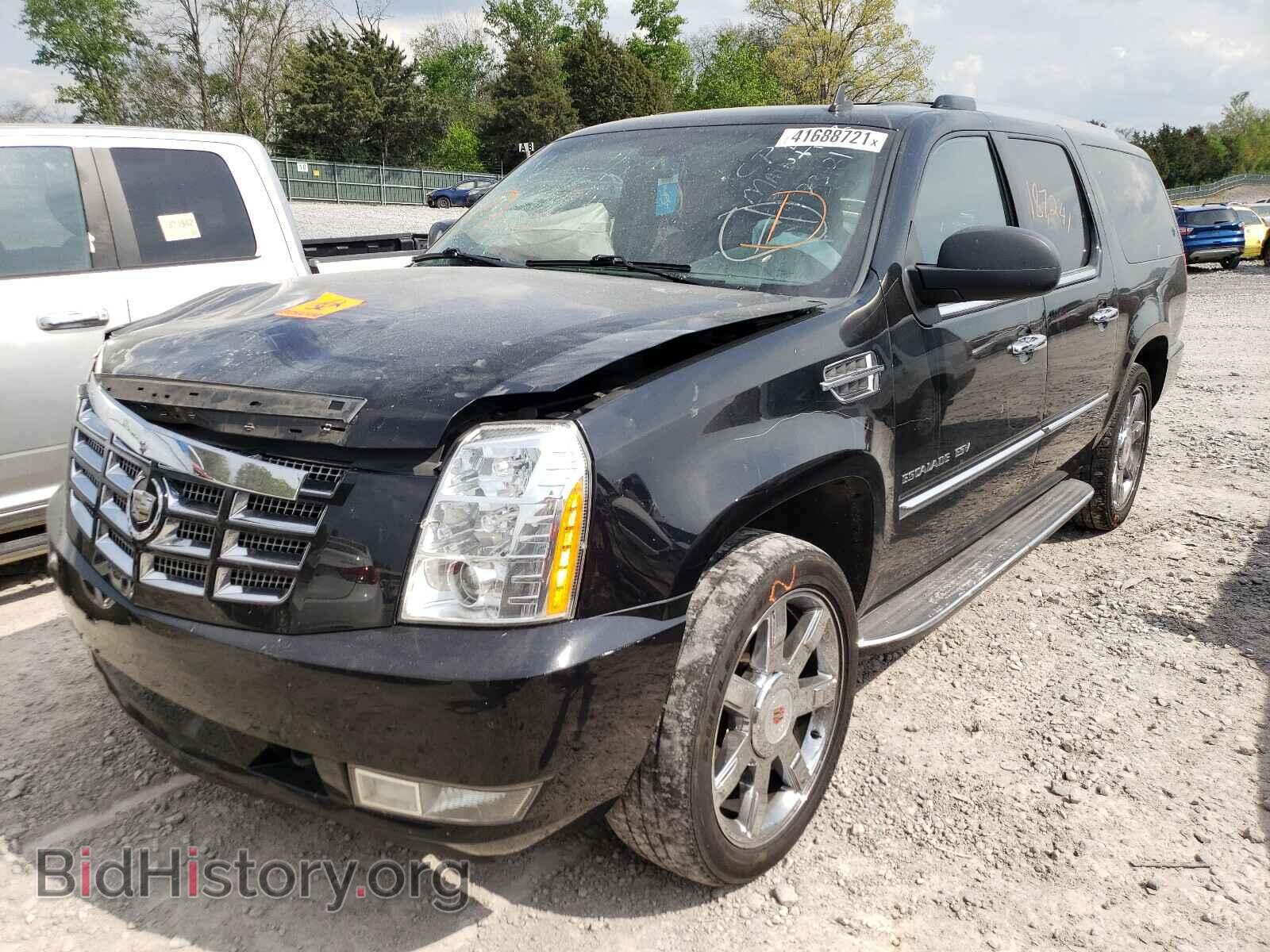 2011 CADILLAC ESCALADE - VIN: 1GYS4HEF7BR157123 - Фото 2