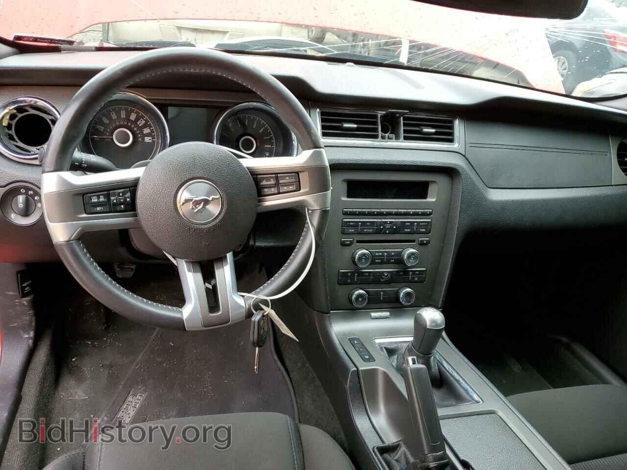 2014 FORD MUSTANG - VIN: 1ZVBP8CF5E5315774 - Фото 8