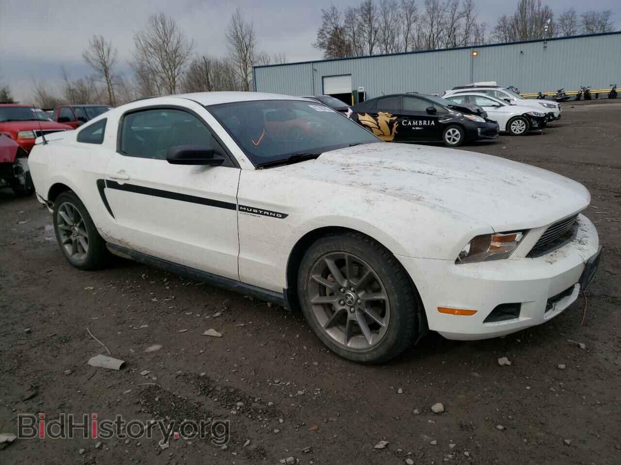 2012 FORD MUSTANG - VIN: 1ZVBP8AM1C5210177 - Фото 4